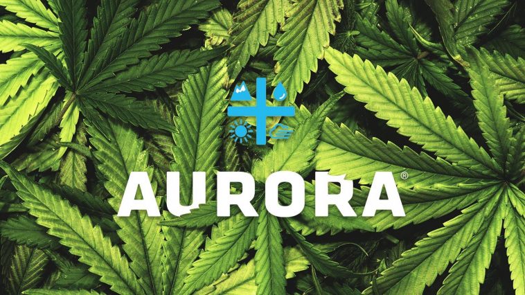 Canopy Growth vs Aurora Cannabis : quelle entreprise a réalisé les meilleurs bénéfices ? - Burzovnisvet.cz - Actions, Bourse, Marché, Forex, Matières premières, IPO, Obligations