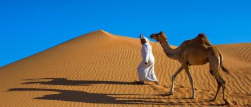 Hôtel de luxe pour chameaux en Arabie saoudite - Burzovnisvet.cz - Actions, bourse, forex, matières premières, IPO, obligations